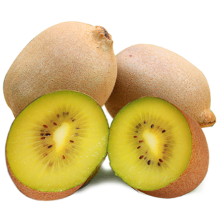 开云登录平台产品中心四